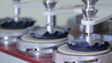 Resistance to Dye Transfer Test